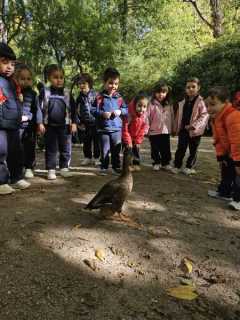 ad6b8dba-0d7e-45cd-8b38-ca015681c45a