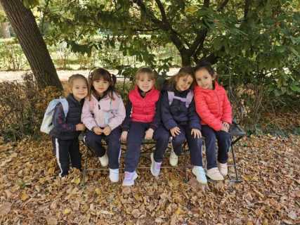 c31642a0-9dd3-4972-b114-451adc8c15b9