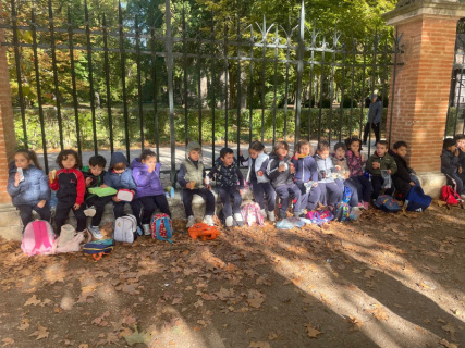 cf27206b-917f-4c3c-972b-3cb5fa1df3b2