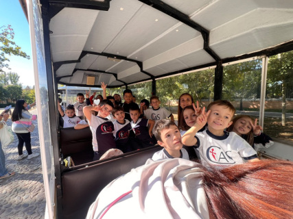 8ddc2acd-918c-4db9-b48d-3e084ce831ba