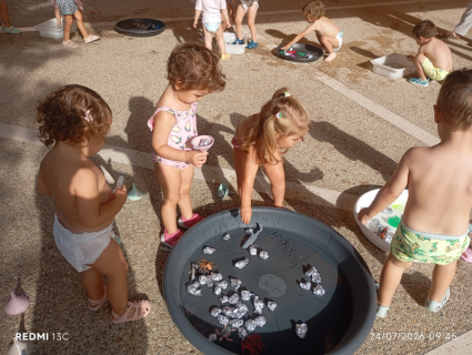 IMG_20260724_094522