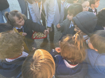 2b1c2dea-44b3-454e-8fdf-6fef16802604