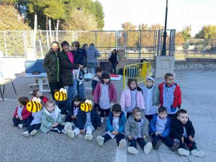 4135e3b3-8ad6-46d6-adaf-f319d1d6010e