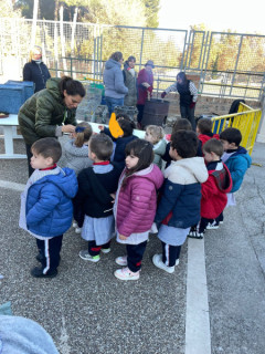 63c4456e-6650-49f7-bdfb-62cf6c496417