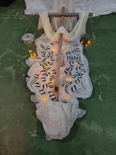 Dia-4-23
