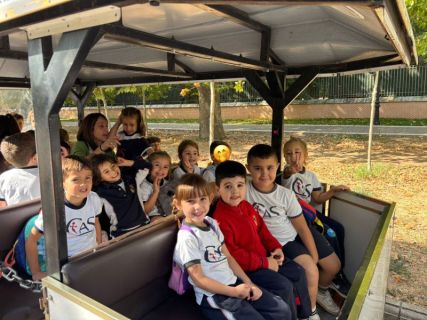 a10a00a5-80f9-494a-aea6-ebd18c2d9d00