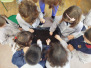 El huerto de  Ed. Infantil