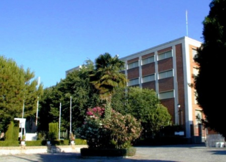 A_COLEGIO palmera y BACH.