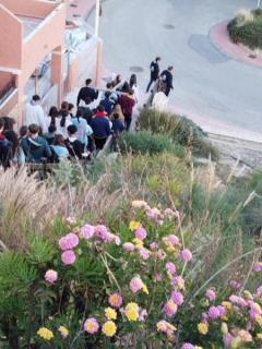 WhatsApp-Image-2026-04-03-at-20.09.42