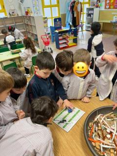 1e0785a8-68c8-44b7-97b3-24d91aee1838