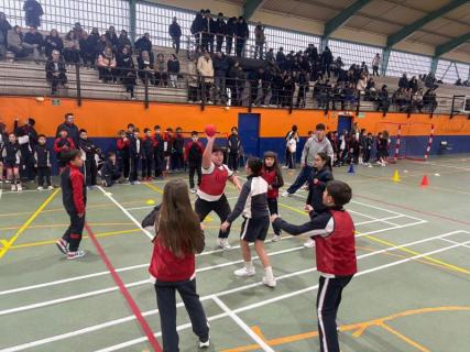 WhatsApp-Image-2026-02-10-at-13.17.14-3