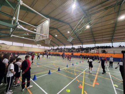 WhatsApp-Image-2026-02-10-at-15.08.56