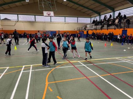 WhatsApp-Image-2026-02-10-at-15.08.57