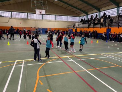 WhatsApp-Image-2026-02-10-at-15.08.58-1