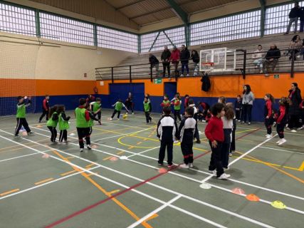 WhatsApp-Image-2026-02-10-at-15.09.00