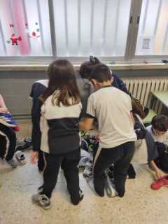 WhatsApp-Image-2026-02-10-at-17.52.45-1