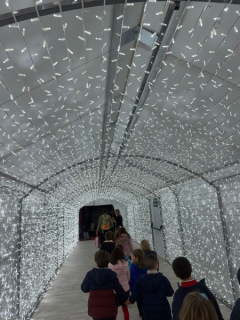 0b33beed-4219-42e9-bf22-7dac0a10ec44