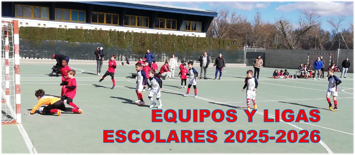 Juegos escolares: unión, compromiso, esfuerzo y diversión